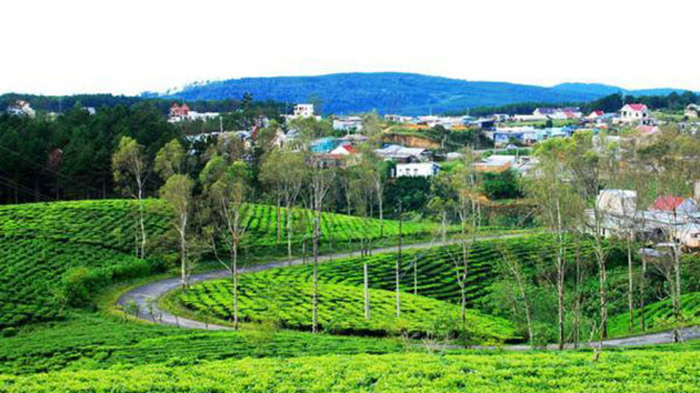 12 attractions free of charge in Da Lat