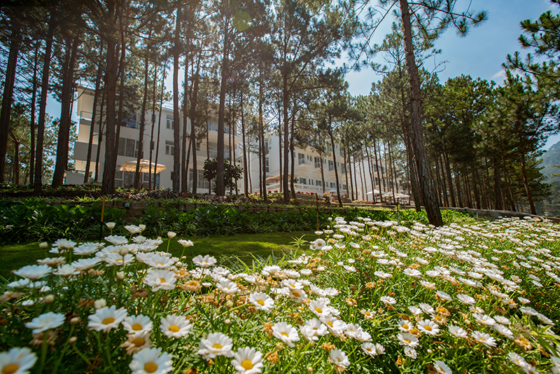 Cereja Hotel Resort Dalat