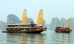 halong cruises