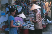 indochina travel tours by  pandaw cruise