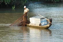 amazing mekong river tour