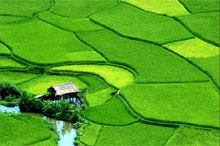 vietnam holiday packages