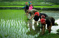 sapa tours