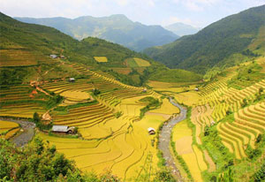  sapa tours