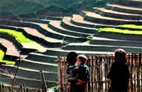 tour sapa