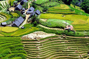 travel to sapa