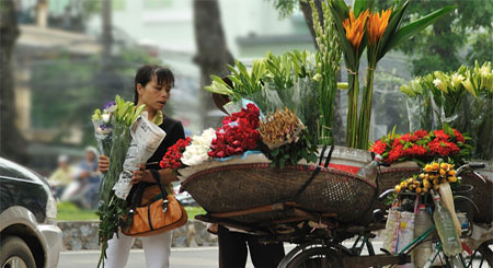 best of vietnam package tours